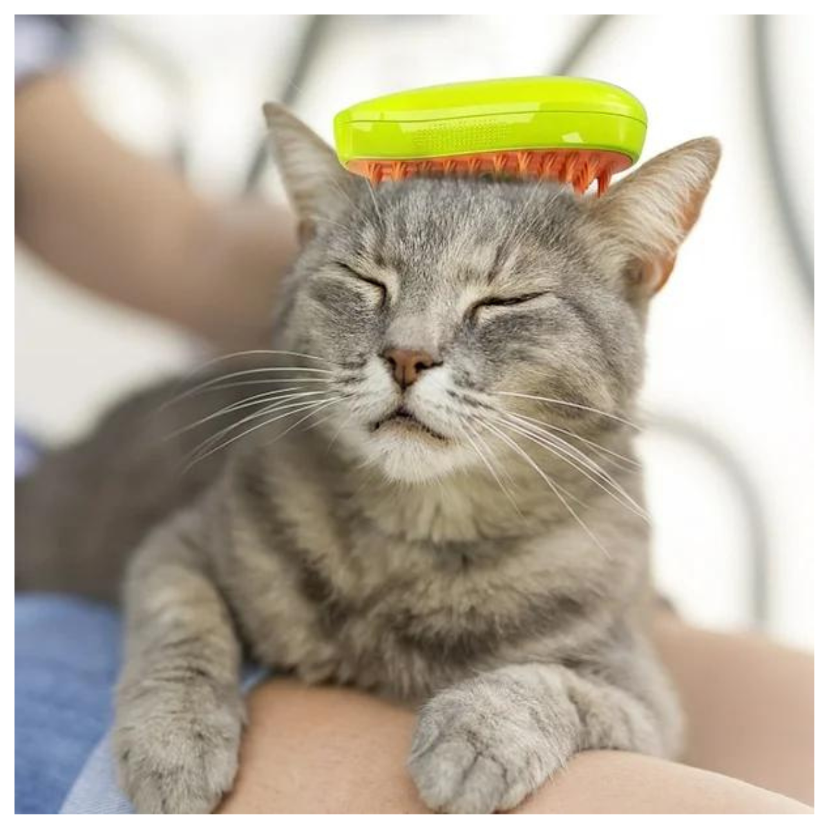 Cepillo para Mascotas con Vapor Pelaje Brillante