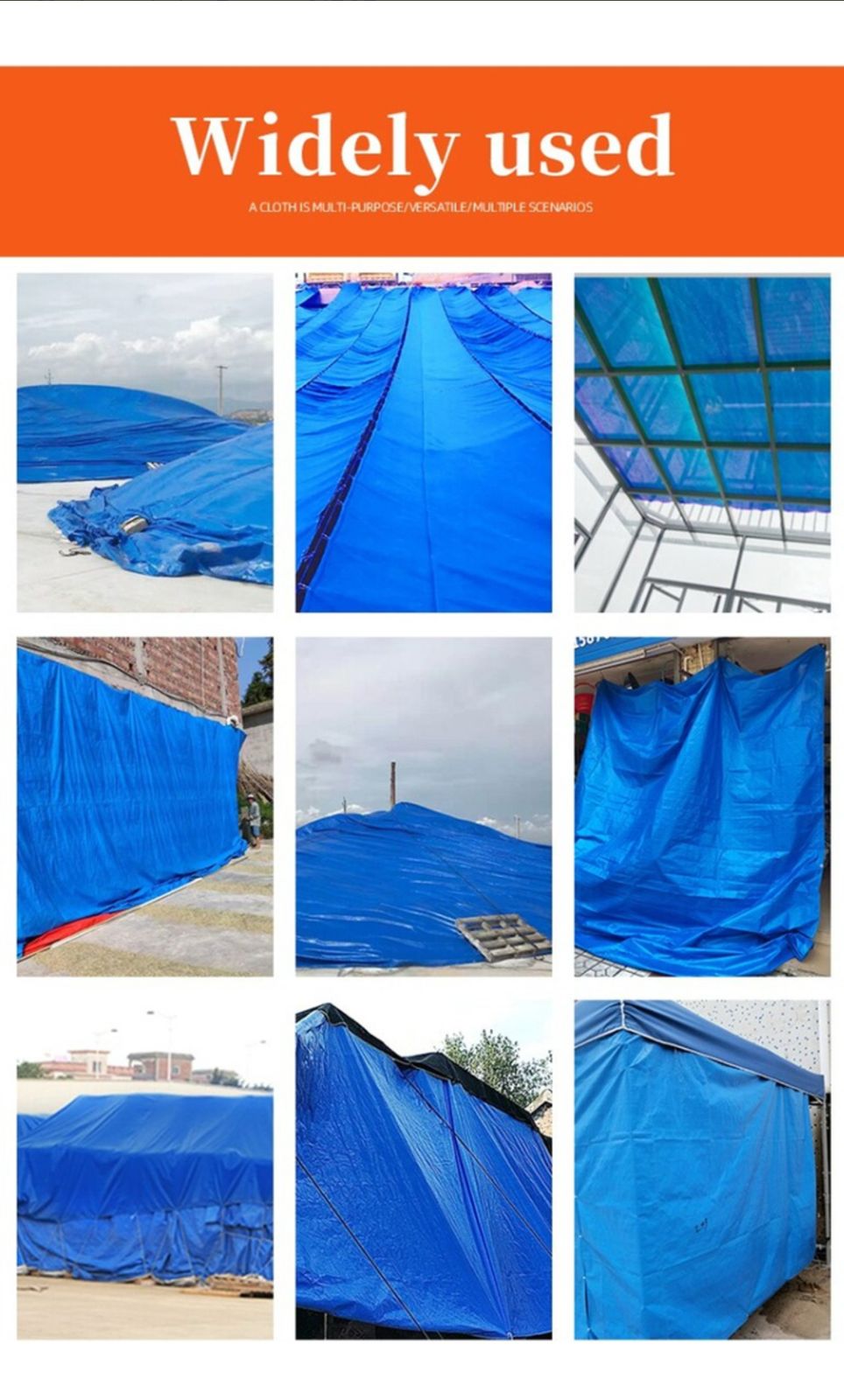 Lona Carpa Mutiusos Antiagua