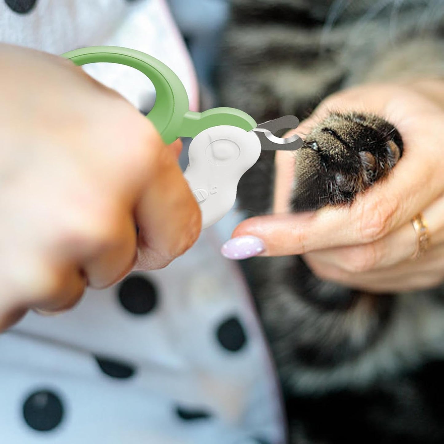 Cortauñas para Mascotas