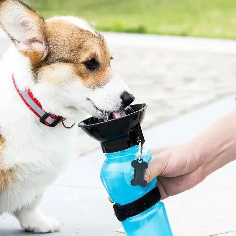 Botella de agua portátil para mascotas