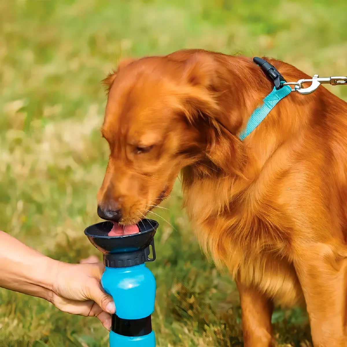 Botella de agua portátil para mascotas