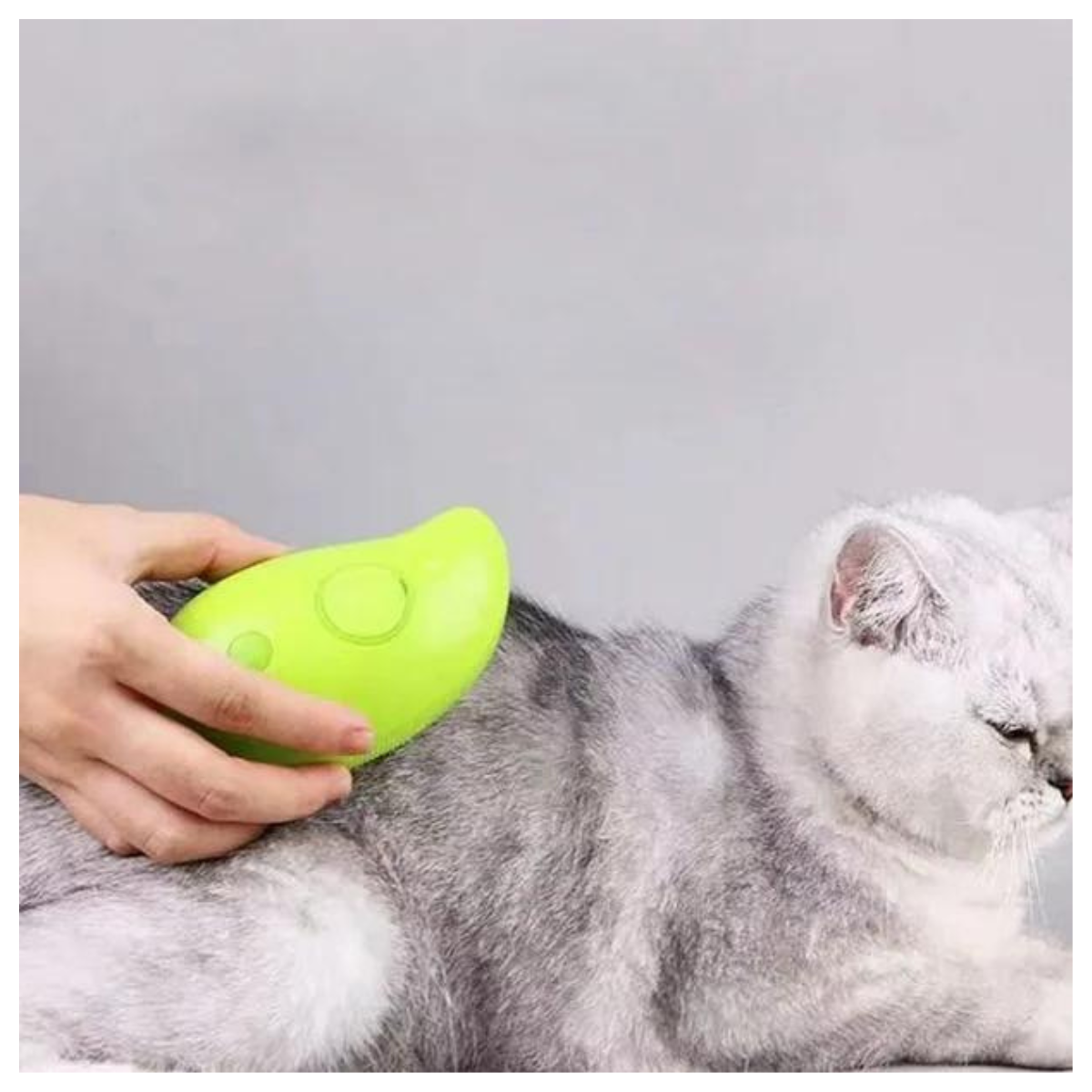 Cepillo para Mascotas con Vapor Pelaje Brillante