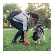 Bolsas para Perros - Pack 12 Rollos 15 Und